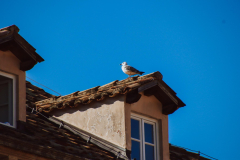 Magistrala-2024-3.-dan-11