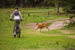 MicrosoftTeams-image-10