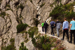 MicrosoftTeams-image-2