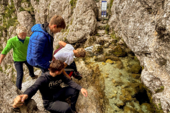 MicrosoftTeams-image-7