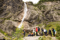 MicrosoftTeams-image-8