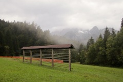 MicrosoftTeams-image-1