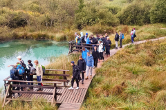 MicrosoftTeams-image-4