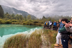 MicrosoftTeams-image-5