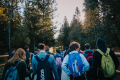 MicrosoftTeams-image-31